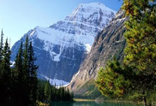 关于多特蒙德迎亚冠关键赛，今晨伤情更新，引发热议，训练强度明显提升的信息